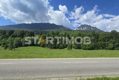 Teren intravilan Zarnesti Plaiul Foii - 12