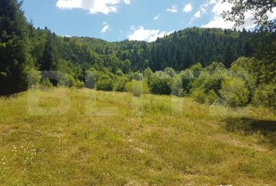 Teren de 1200 mp, în Central - 1