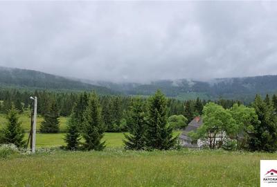 Oportunitate de Investitie Turistica intre Borsec si Toplita - 13