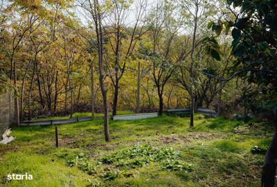 Casă cu 4 camere cu Teren 1260 Mp în Valea Râmnicului - 2