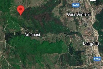 Teren de 660000 mp, în Beceni - 2