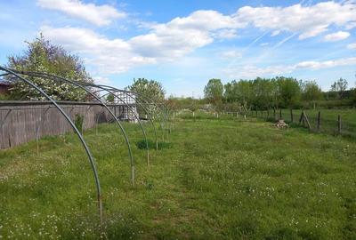 Teren de 2600 mp, în Central