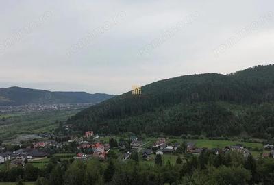 Teren de 5023 mp, în Voroneț - 16