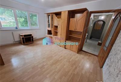 Apartament cu 2 camere semidecomandat în George Enescu - 10
