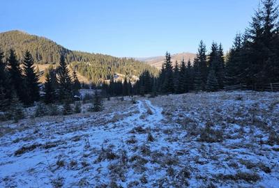 Teren extravilan de vanzare inconjurat de padure in Bucovina zona Breaza - 5