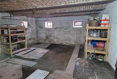 Poveste saseasca la umbra vitei de vie, cu crama si gradina cu flori, Central Co - 41