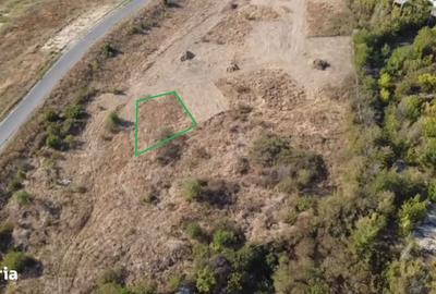 Spațiu comercial, în Theodor Pallady - 3