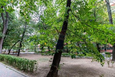 Vanzare apartament 2 camere in Campia Libertatii/Parcul... - 8