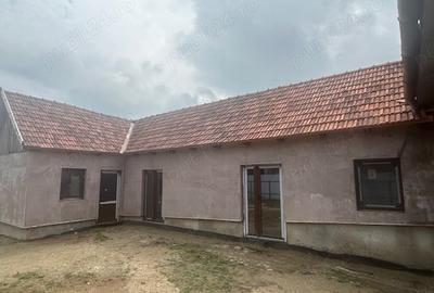 Casă cu 6 camere cu Teren 2160 Mp în Balinț - 5