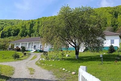 Casă cu Teren 2306 Mp în Predeluț - 9