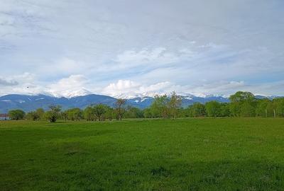 Teren Construcții extravilan de 3400 mp, în Lisa - 2