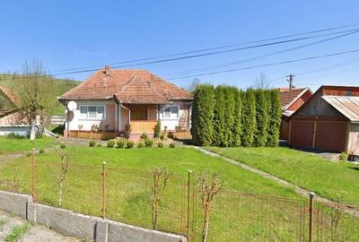 Gospodarie cu teren generos si constructii solide intr-o zona linistita - 19