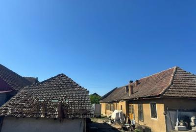 Casă individuală cu 5 camere cu Teren 1536 Mp în Variaș - 8