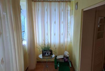 Casă cu 3 camere cu Teren 3360 Mp în Produlești - 4