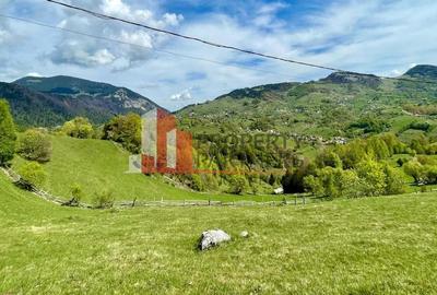 Teren in sat Pestera, comuna Moeciu. - 4