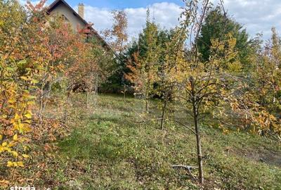 Spațiu comercial, de 400 mp, în Ipotești - 7