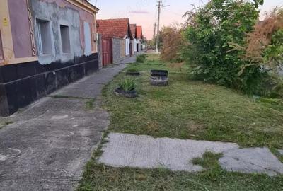 Se vinde casa in ora?ul Nadlac - 2