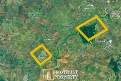 Spațiu comercial, în Zărand - 3