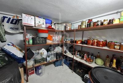 Casă cu Teren 264 Mp în Tineretului