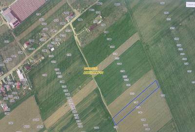 Teren Construcții intravilan de 4600 mp, în Copăceni - 1