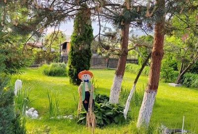 Casă cu 9 camere în Sovata - 10