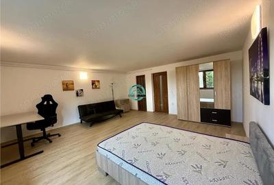 Apartament cu 1 camera de 60 mp, in Cornisa la 550 m de UMF - 2