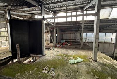 Spațiu industrial, de 800 mp, în Piața Centrală - 3