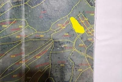 2 parcele de 4265 mp/2804 mp extravilan Transapuseana, sat Macaresti - 7