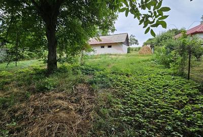 Casă individuală cu 2 camere cu Teren 9200 Mp în Pădureni (Șendriceni) - 20