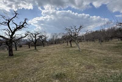 Teren în Micloșanii Mici - 9