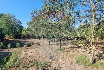 Teren intravilan de inchiriat - 3.600mp ?oseaua Unirii ?... - 1