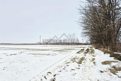 Teren de 531 mp, în Holboca - 2