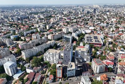 Muncii, Delea Veche 24 - comision 0%, reprezentam proprietarul! - 7