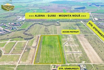 Teren Construcții intravilan de 683 mp, în Bucovăț (Remetea Mare) - 10