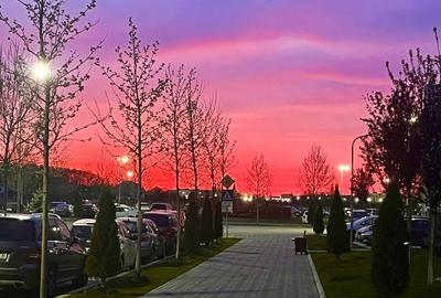 Direct Proprietar | Studio Modern in Greenfield Residence – Langa Padurea Baneas - 16