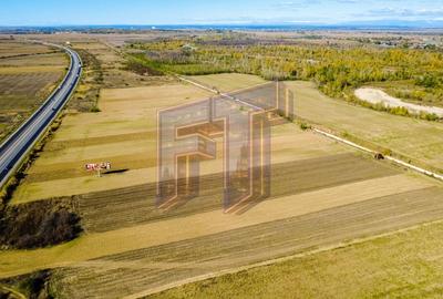 Teren Construcții extravilan de 31700 mp, în Uliești - 10