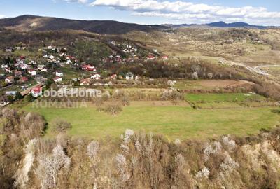 Teren de 23345 mp, în Cornu - 5