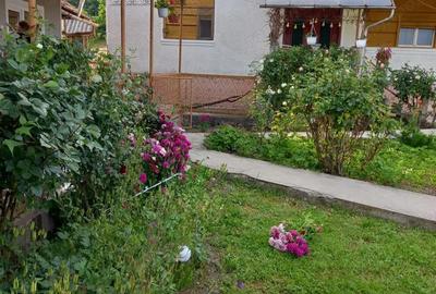 Casă cu Teren 4977 Mp în Ribița - 7