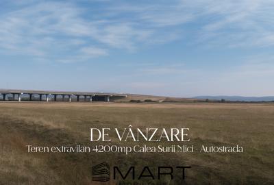 Teren extravilan 4200mp Calea Surii Mici - Autostrada - 2