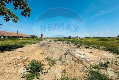 Teren intravilan de 11404 mp, în Biharia - 6