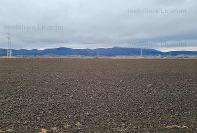 Teren Agricol 2,9 HA,intre Cristian si Vulcan/teren SPORT - 3
