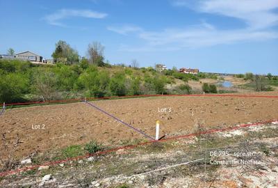 Intravilan vedere la lacul Snagov zona de vile noi - 9