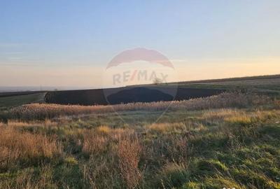 Teren de 30077 mp, în Stroiești - 10