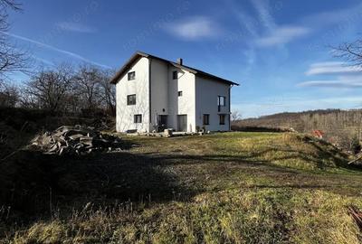 Casă cu 7 camere cu Teren 1600 Mp în Berchez - 8