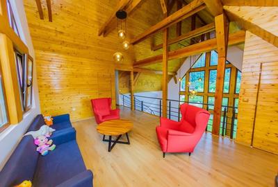 Casă individuală cu 8 camere cu Teren 6370 Mp în Groșii Țibleșului - 3