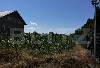 Teren extravilan de vanzare, 1267 mp, zona Draexlmaier - 3