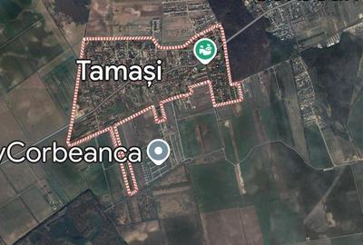 Teren Construcții intravilan de 17000 mp, în Tamași