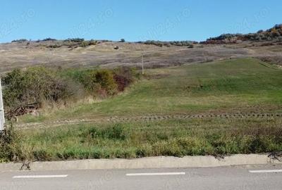 Teren de 750 mp, în Central - 3