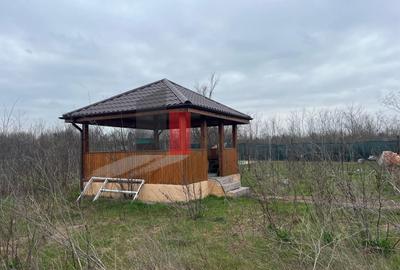 Casă individuală cu 3 camere cu Canalizare în Copăceni - 18