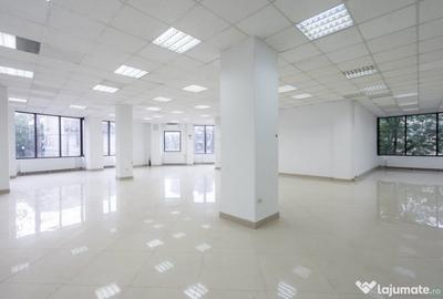 Spațiu comercial, de 250 mp, în Ferdinand - 18